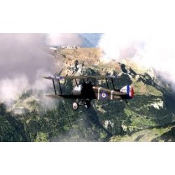 Aerofly FS version MAC