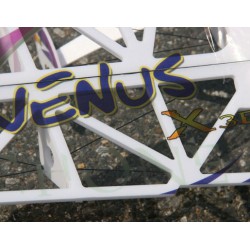 Venus X3D