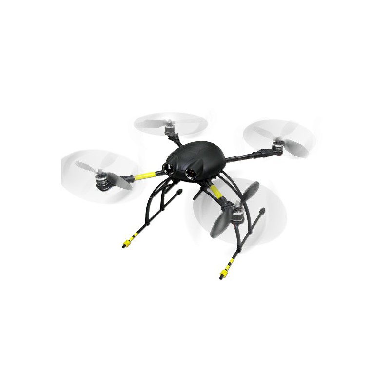 Bumblebee quadricopter