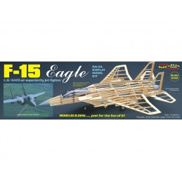 F-15 Eagle